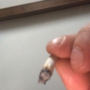 Meet your Posher, Nilton